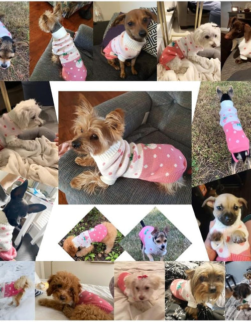 Load image into Gallery viewer, Pet Dog Sweaters Classic Knitwear Turtleneck Winter Warm Puppy Clothing Cute Strawberry and Heart Doggie Sweater
