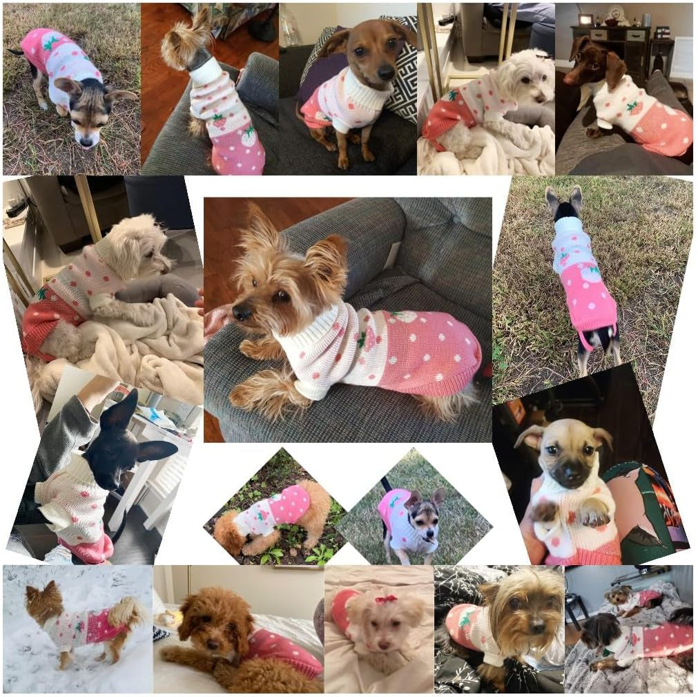 Pet Dog Sweaters Classic Knitwear Turtleneck Winter Warm Puppy Clothing Cute Strawberry and Heart Doggie Sweater