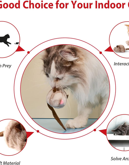Load image into Gallery viewer, Interactive Cat Toy Squeaky, Electronic Chirpy Bird Cat Toy Feather Tail, Automatic Cat Play Squeak Toy for Boredom
