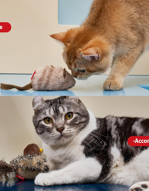 Load image into Gallery viewer, Interactive Cat Toy Squeaky, Electronic Chirpy Bird Cat Toy Feather Tail, Automatic Cat Play Squeak Toy for Boredom

