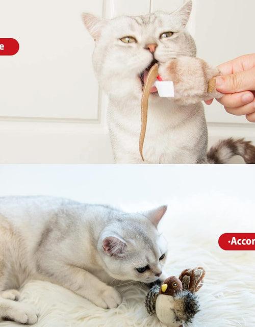 Load image into Gallery viewer, Interactive Cat Toy Squeaky, Electronic Chirpy Bird Cat Toy Feather Tail, Automatic Cat Play Squeak Toy for Boredom
