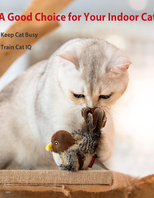 Load image into Gallery viewer, Interactive Cat Toy Squeaky, Electronic Chirpy Bird Cat Toy Feather Tail, Automatic Cat Play Squeak Toy for Boredom
