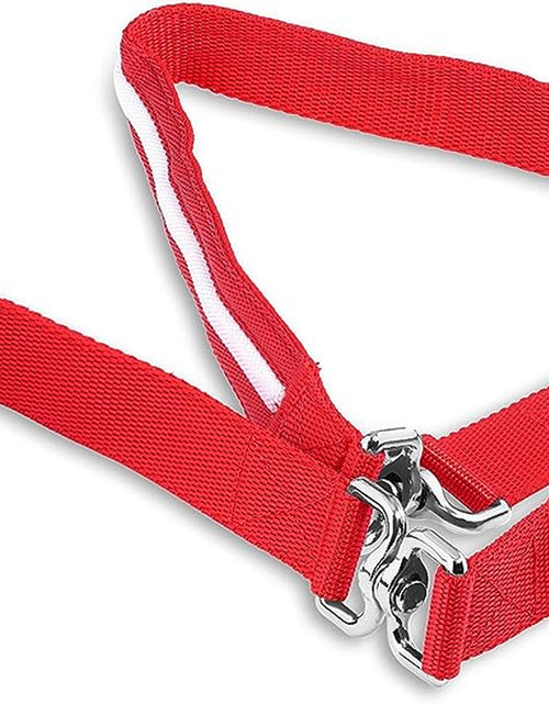 Load image into Gallery viewer, &#39; Safety LED Dog Leash - USB Rechargeable Flashing Light, 6 Ft, Water Resistant – Avoid Danger – Red
