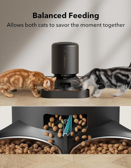 Load image into Gallery viewer, PETLIBRO Smart Automatic Cat Feeder with Camera for Dual Pet Use, 1080P HD Video and Night Vision, 5G WiFi Connectivity, Two-Way Audio, Low Food and Motion Alerts, Dual Tray Design, 5L Capacity, Black
