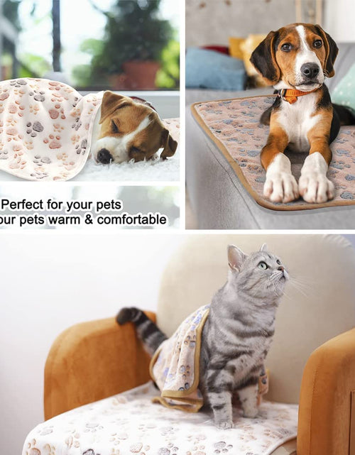 Load image into Gallery viewer, 3 Pack Cat and Dog Blanket Soft &amp; Warm Fleece Flannel Pet Blanket, Great Pet Throw for Puppy, Small Dog, Medium Dog &amp; Large Dog (Medium)
